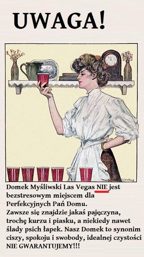 Domek myśliwski Las Vegas Mierzyn  Zewnętrze zdjęcie